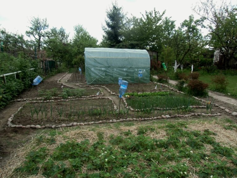 Ściółkowanie gleby korzyści dla ogrodu Love Natura kochamy to co