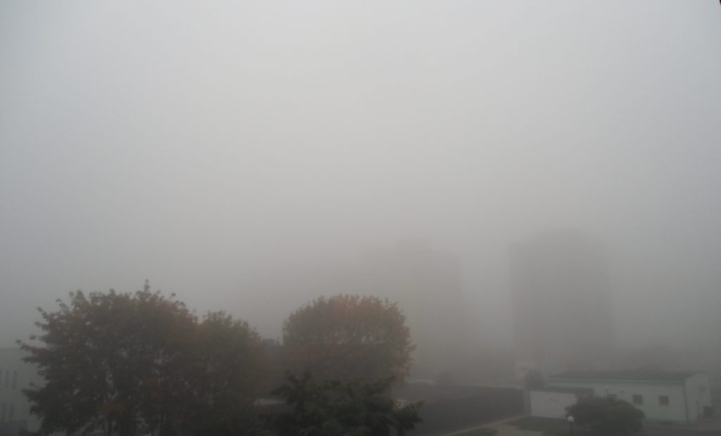 mgła