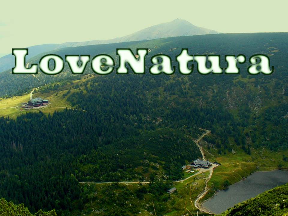 love natura