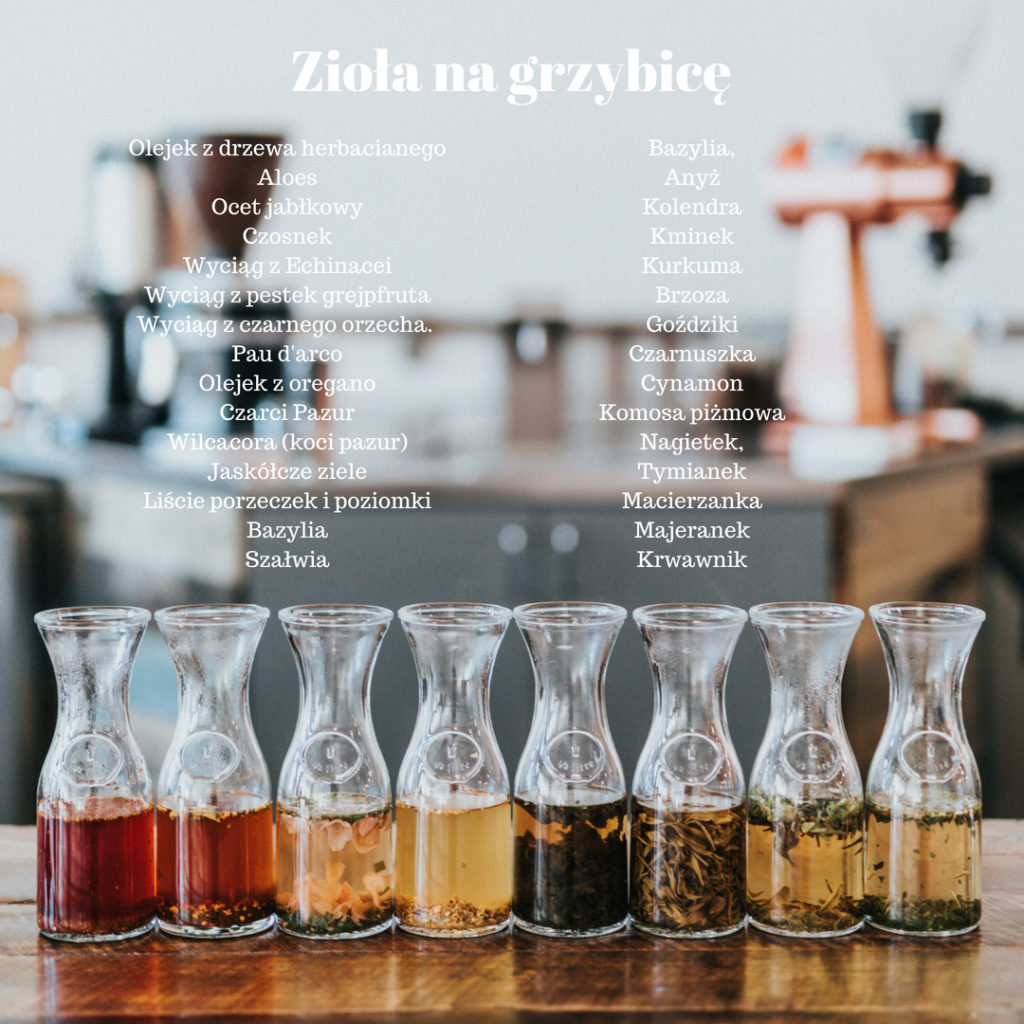 Zioa na grzybic - Love Natura - kochamy to, co naturalne!