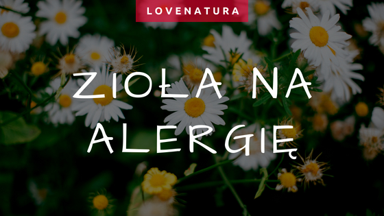 zioła na alergię