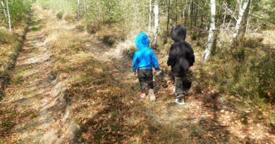 dziecko i natura - dlaczego warto wychowywać dziecko w kontakcie z przyrodą