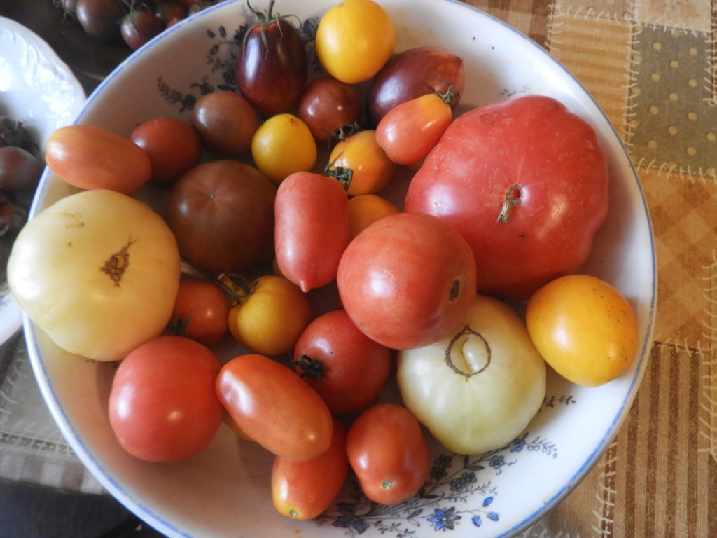 Dojrzałe pomidory w zimie