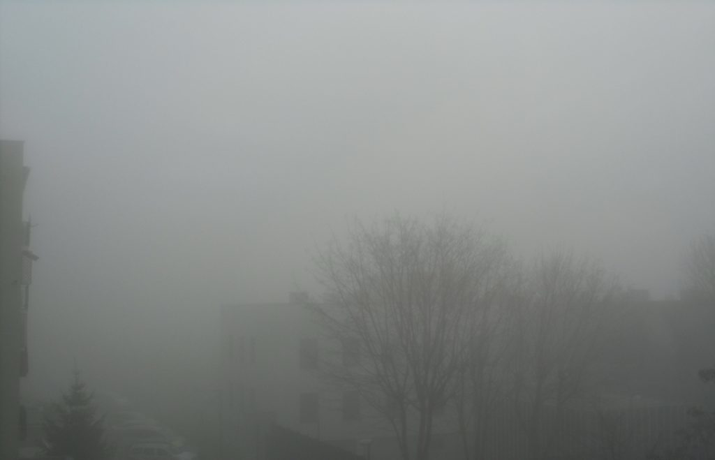 mgły