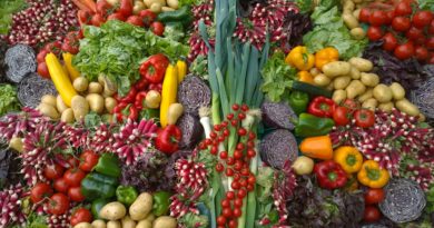 jak wykorzystać resztki warzyw, owoców i ziół