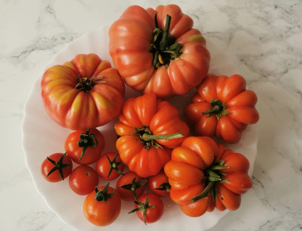 Pomidory z tunelu foliowego