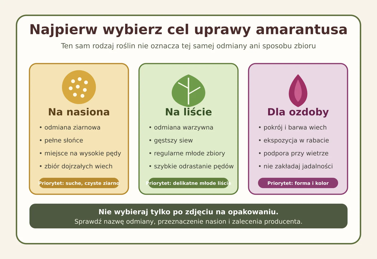 Schemat wyboru amarantusa do uprawy na nasiona, liście albo dla ozdoby