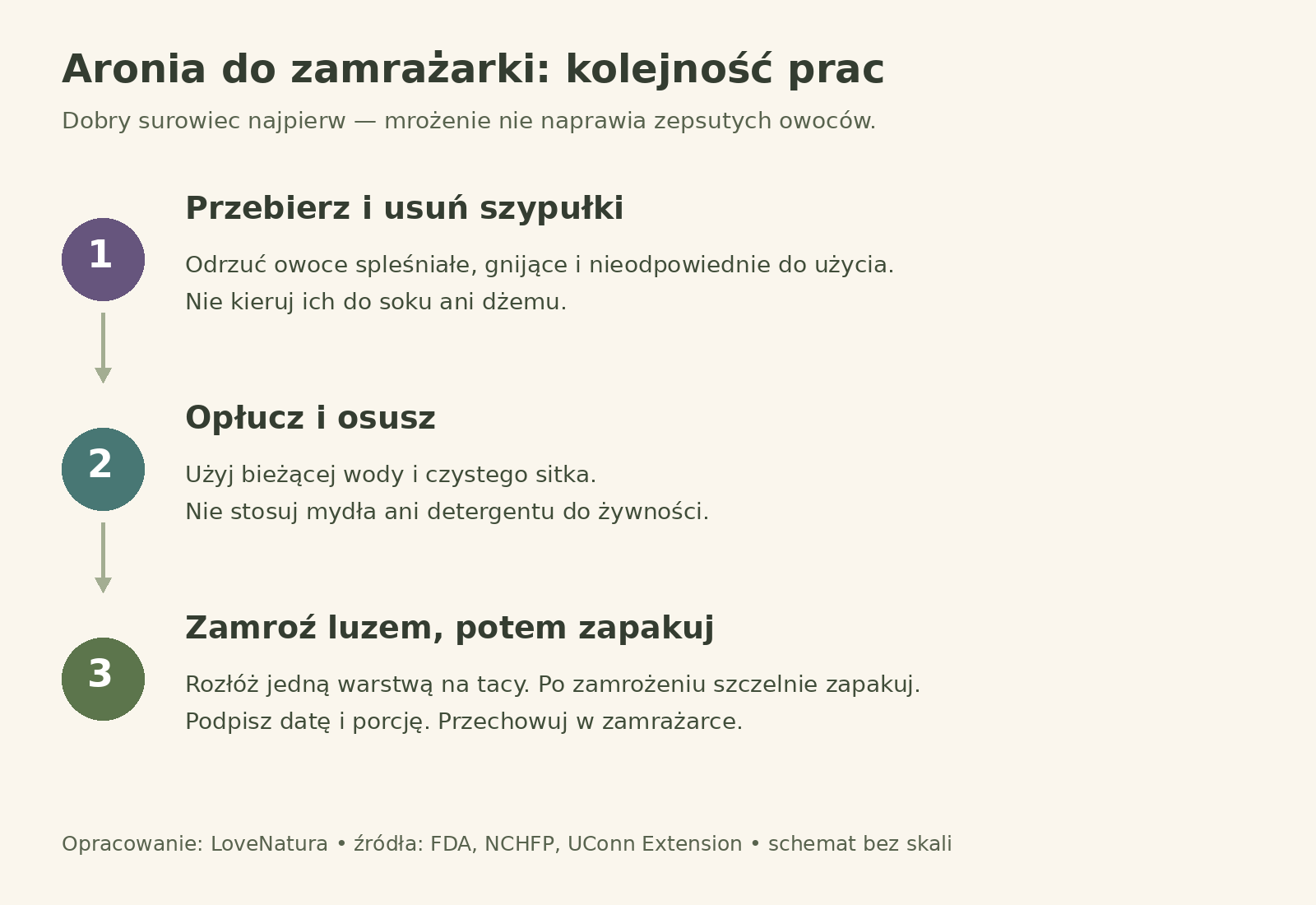 Przygotowanie aronii do mrożenia: trzy etapy Schemat przygotowania aronii: przebranie i usunięcie szypułek, płukanie z osuszeniem, mrożenie na tacy i opisanie opakowania