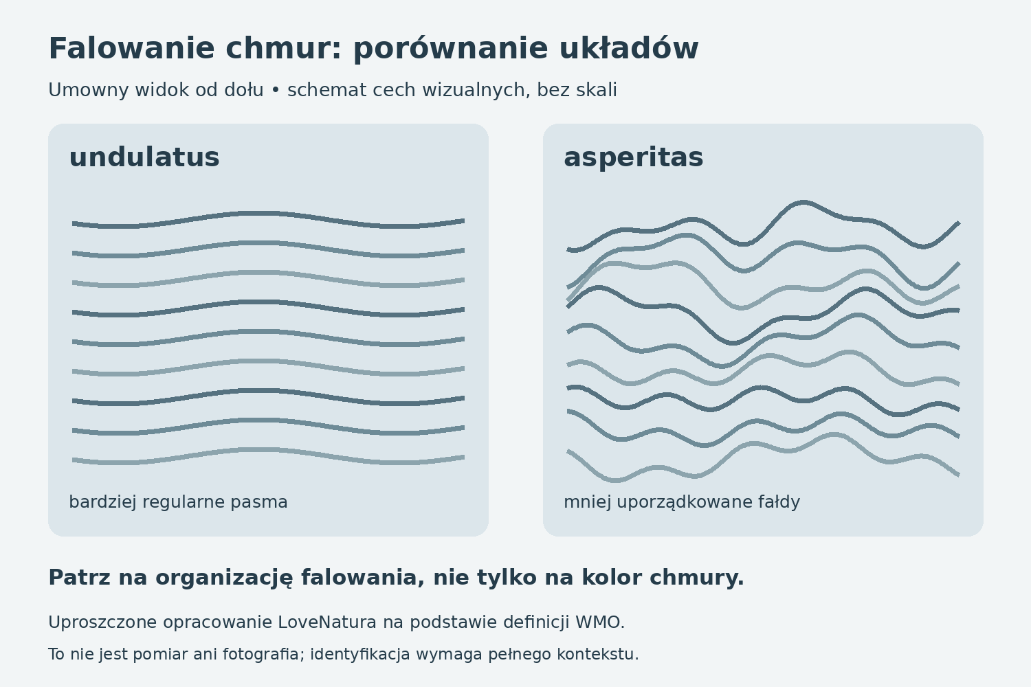 Schemat porównania regularniejszych pasm undulatus i bardziej nieregularnych fałd asperitas, bez skali
