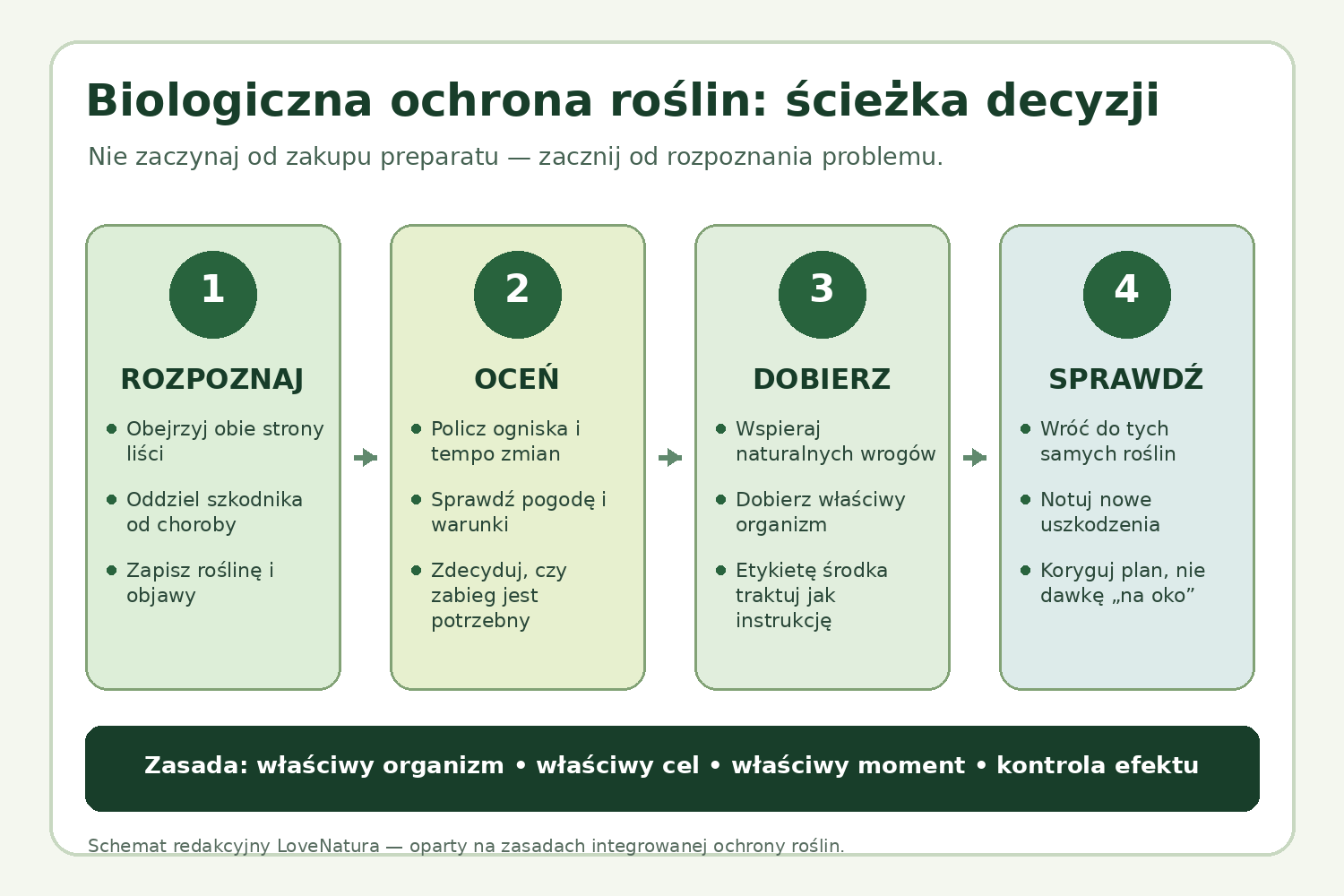 Czteroetapowy schemat biologicznej ochrony roślin od diagnozy do kontroli efektu