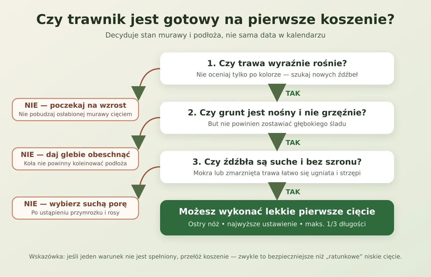 Schemat decyzji: czy trawnik jest gotowy na pierwsze koszenie po zimie