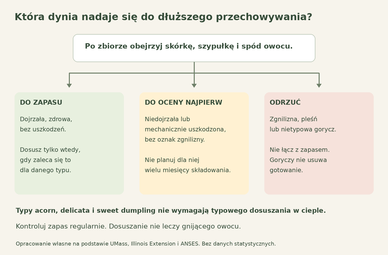 Schemat rozdziela zdrowe dojrzałe dynie do zapasu, owoce wymagające pierwszej oceny oraz gnijące lub gorzkie do odrzucenia