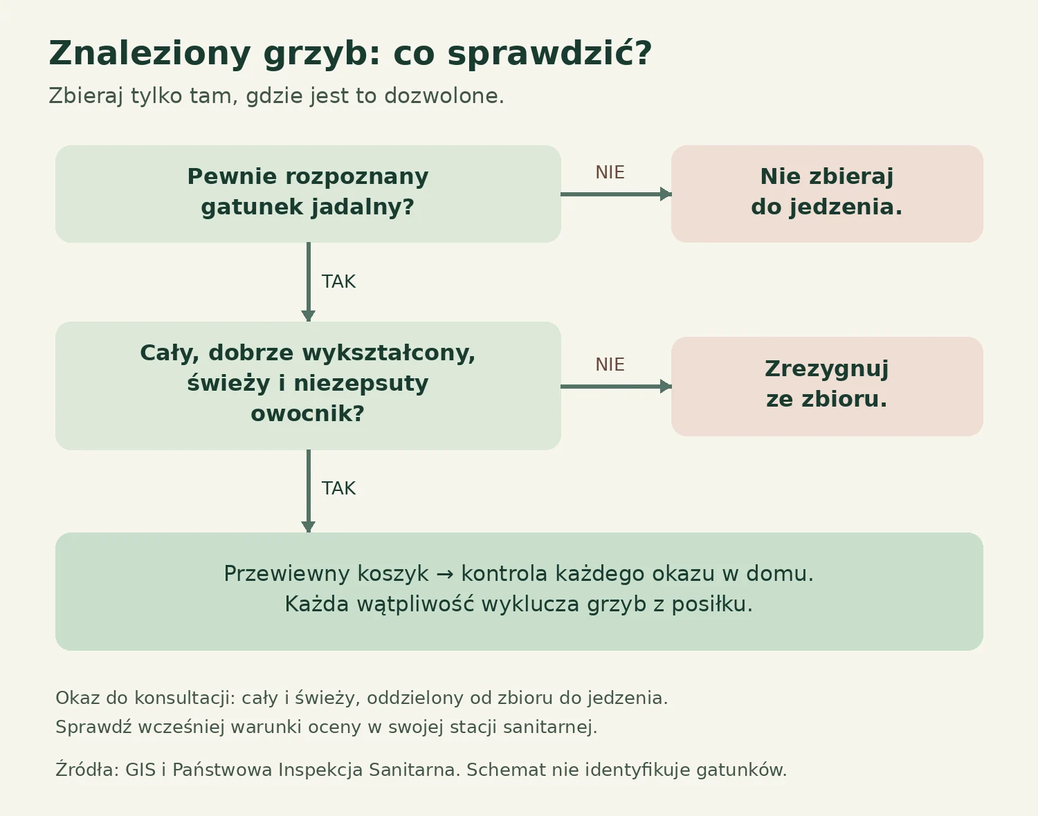 Znaleziony grzyb — co sprawdzić przed zbiorem Schemat decyzji po znalezieniu grzyba: brak pewnego rozpoznania oznacza rezygnację ze zbioru do jedzenia, a rozpoznany okaz wymaga jeszcze oceny stanu i ponownej kontroli w domu