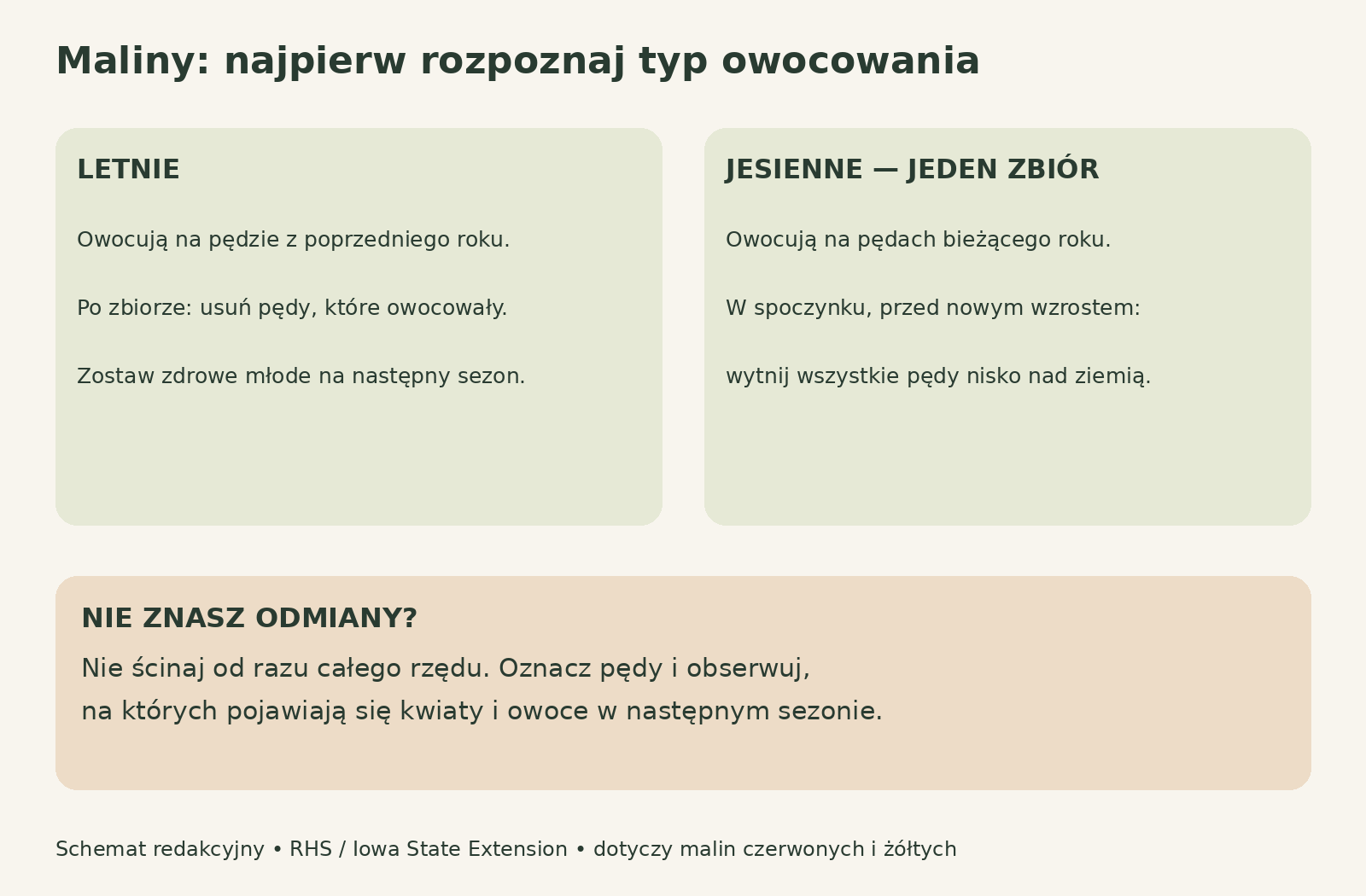 Schemat wyboru cięcia malin: zachowanie młodych pędów u letnich lub usunięcie wszystkich u jesiennych na jeden zbiór