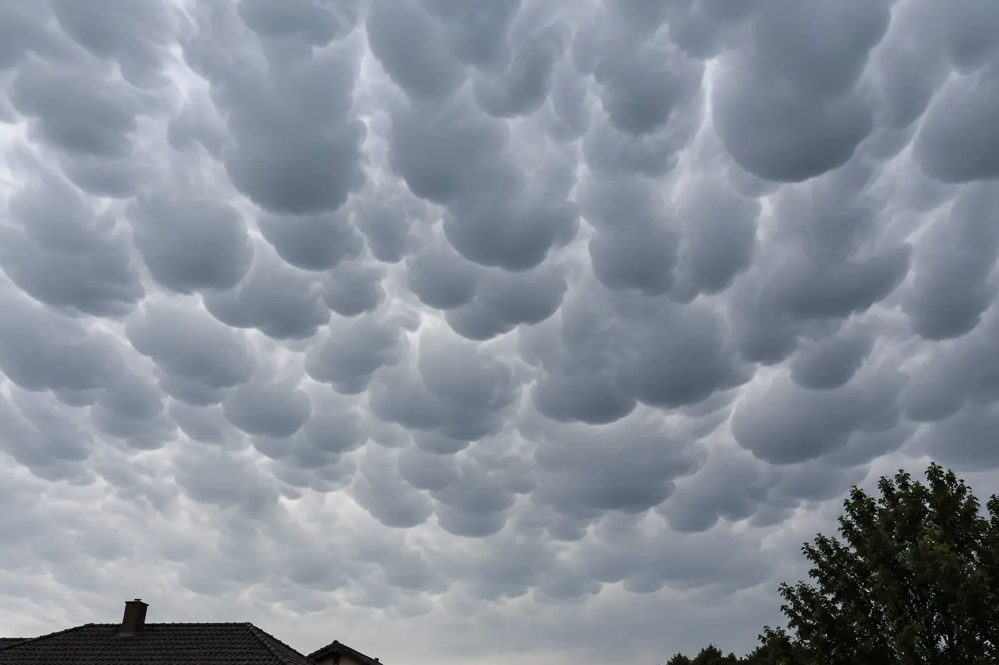 Pole gładkich zaokrąglonych kieszeni mammatus widziane nad dachami i drzewem