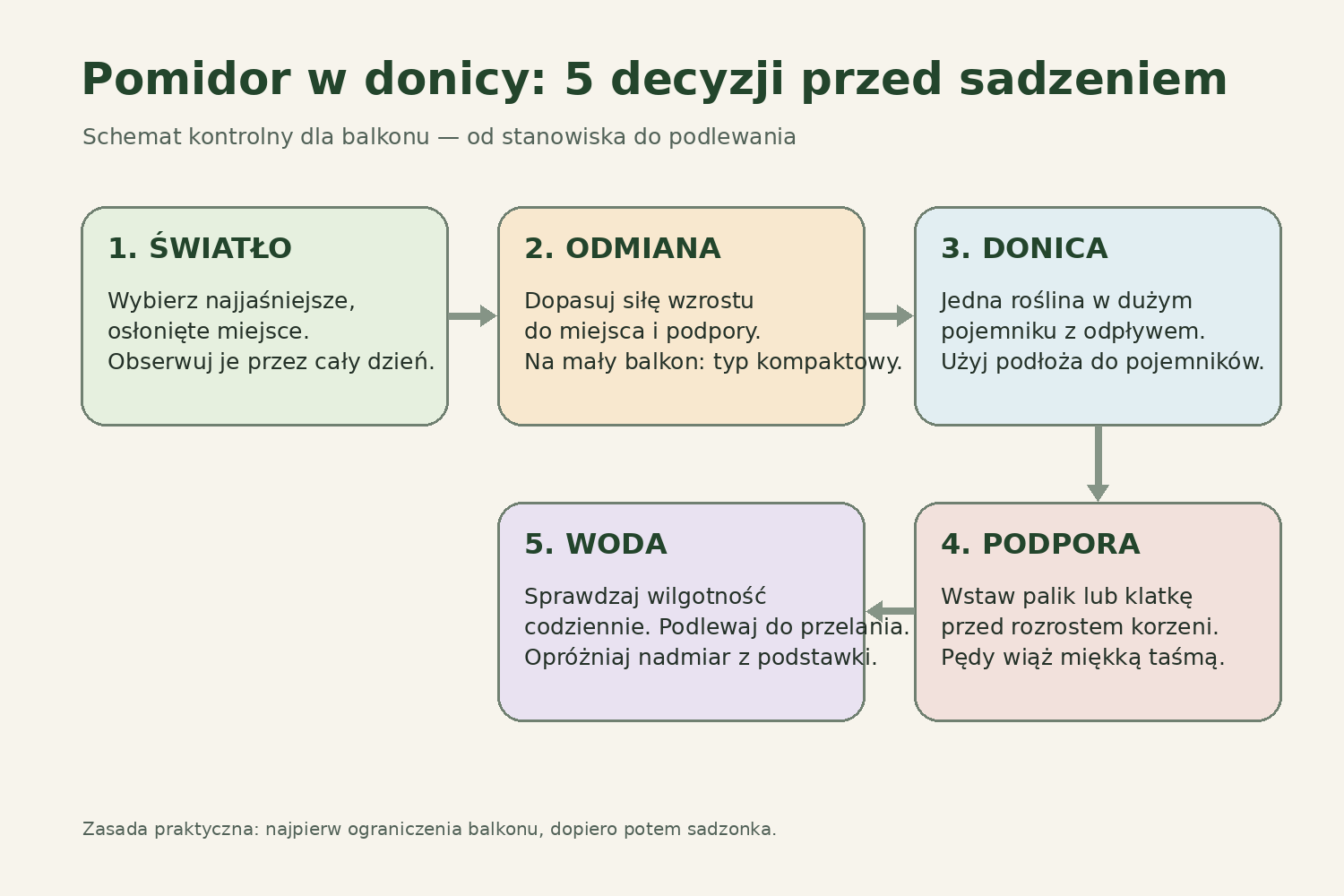 Pomidor w donicy – pięć decyzji przed sadzeniem Schemat pięciu decyzji przed posadzeniem pomidora w donicy na balkonie