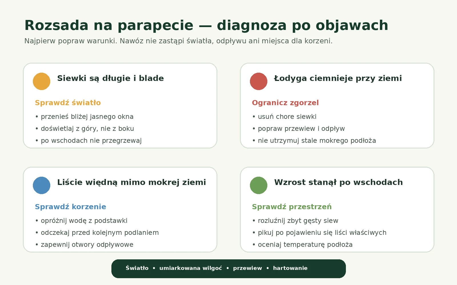 Schemat diagnozy czterech problemów rozsady: wyciągania, zgorzeli, przelania i zahamowania wzrostu