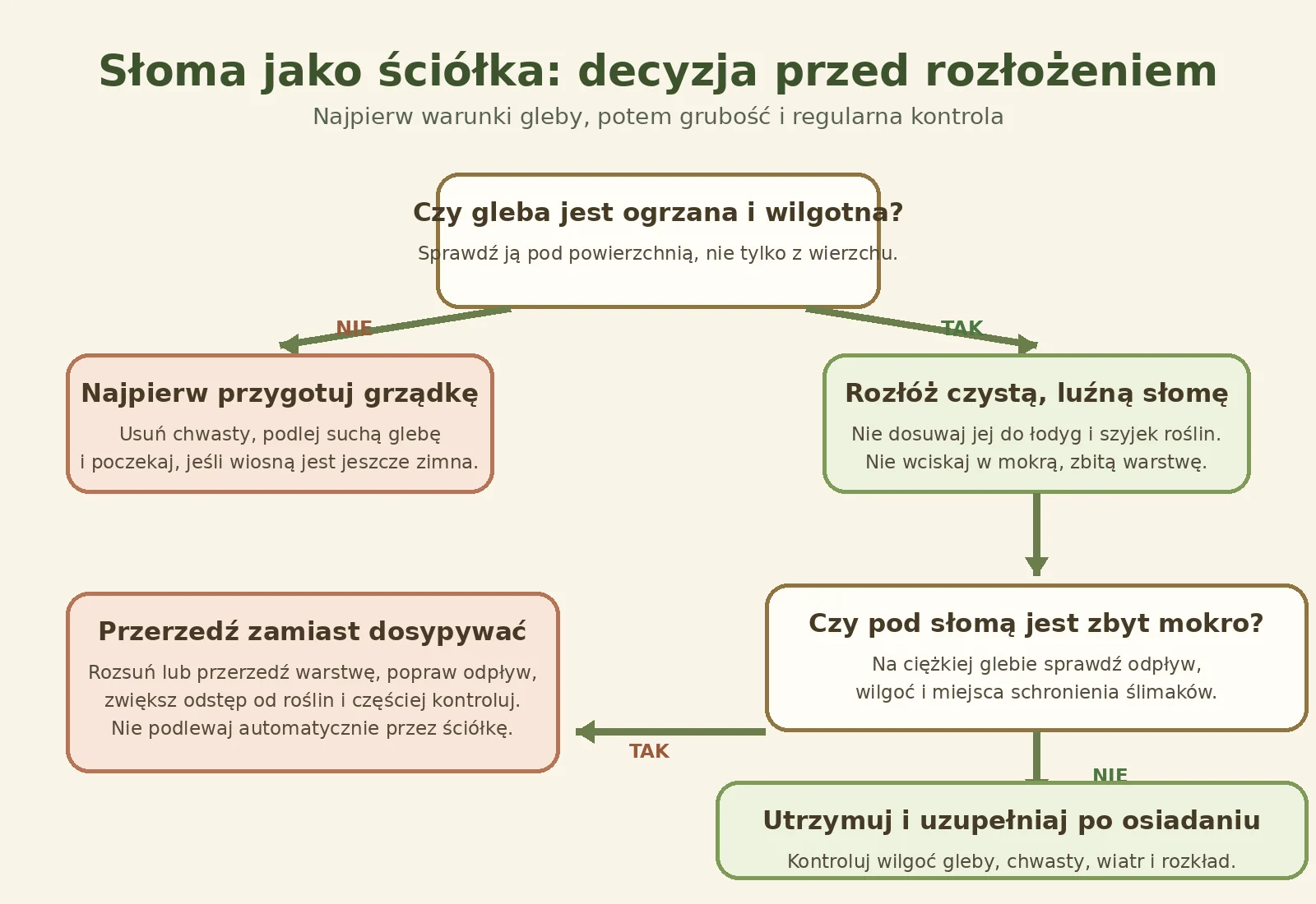 Słoma jako ściółka – schemat decyzji przed rozłożeniem Schemat decyzji przed ściółkowaniem słomą: temperatura i wilgotność gleby, kontrola odpływu oraz korekta warstwy