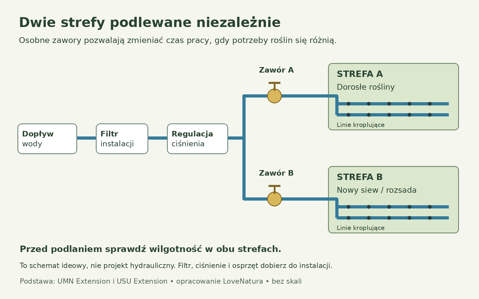 Schemat dopływu wody przez filtr i regulację ciśnienia do dwóch zaworów z osobnymi liniami kroplującymi dla dorosłych roślin oraz nowego siewu
