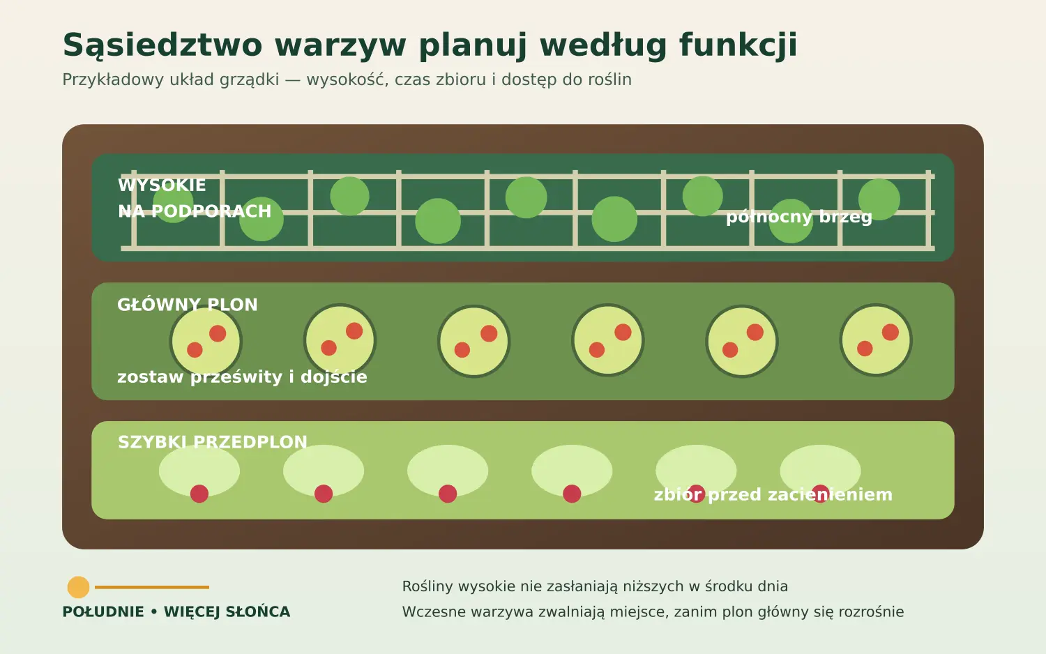 Schemat grządki z podporami po północnej stronie, plonem głównym i szybkim przedplonem od południa