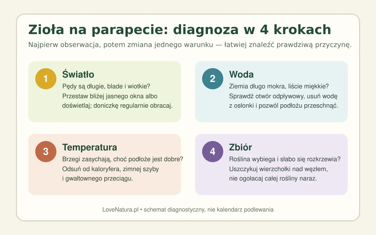 Schemat diagnozy problemów z ziołami na parapecie: światło, woda, temperatura i sposób zbioru